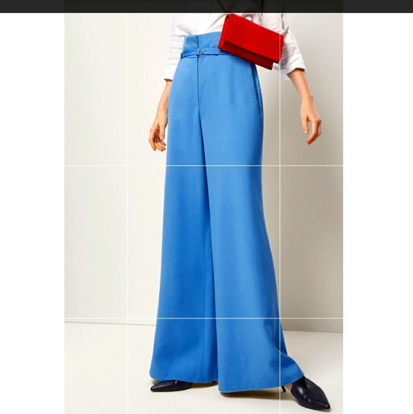 Massimo Dutti | Pants u0026 Jumpsuits | Massimo Dutti Palazzo Wide Leg Pants  Size 4 | Poshmark